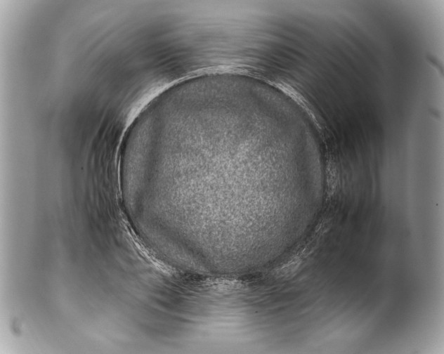 X0000100880886200807071124