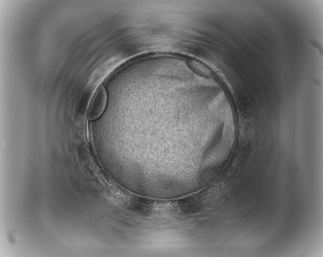 X0000100880887200807071124