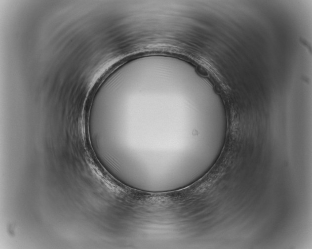 X0000100880888200807071124