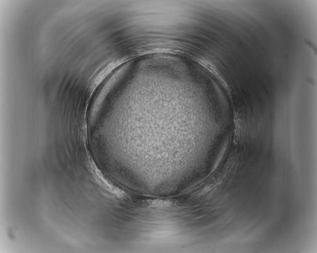 X0000100880890200807071124