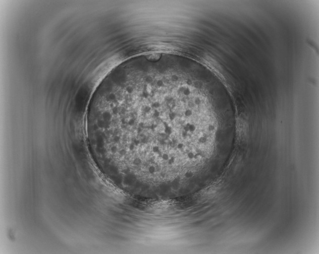 X0000100880891200807071124