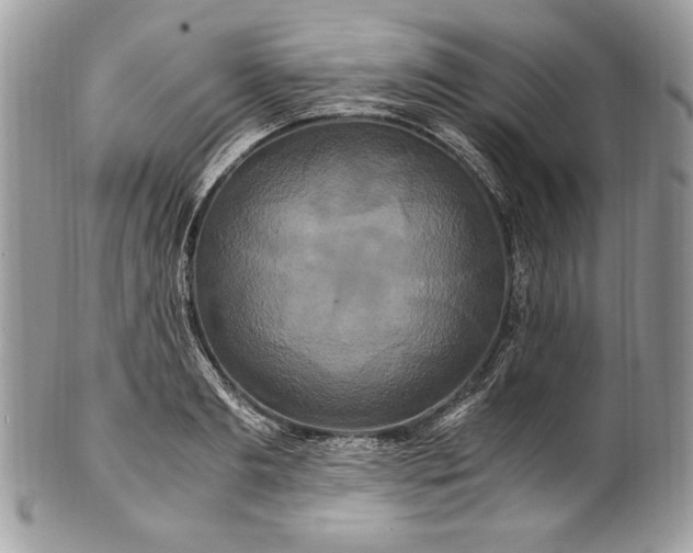 X0000100880893200807071123