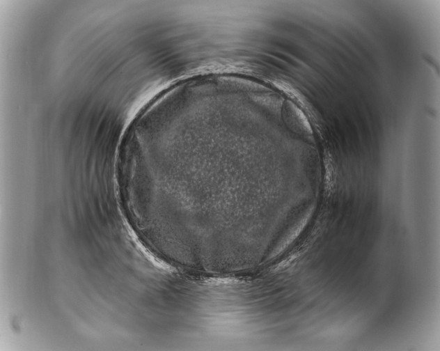 X0000100880894200807071123