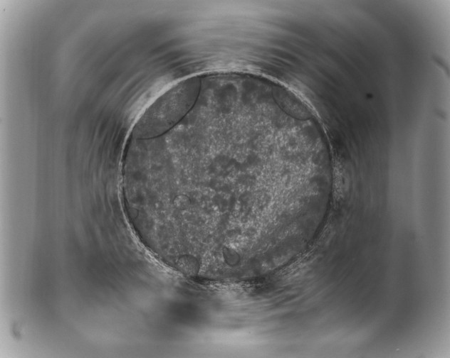 X0000100880895200807071123