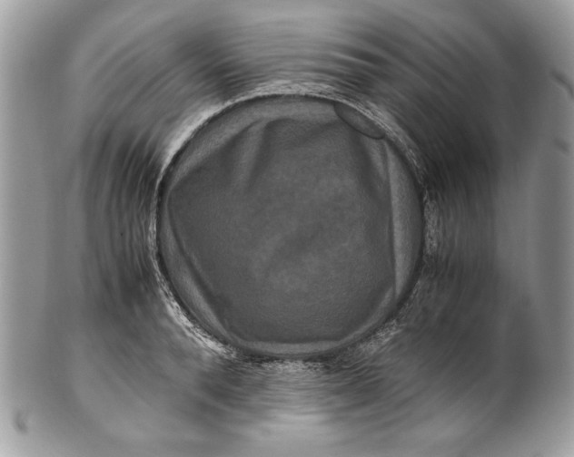 X0000100880896200807071123