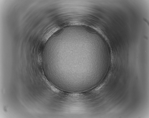 X0000100880897200807071123