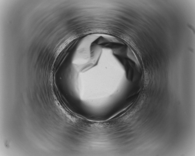 X0000100880898200807071123