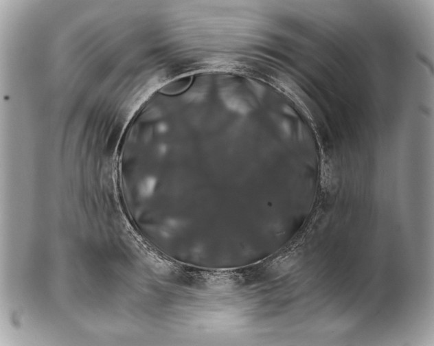 X0000100880899200807071123