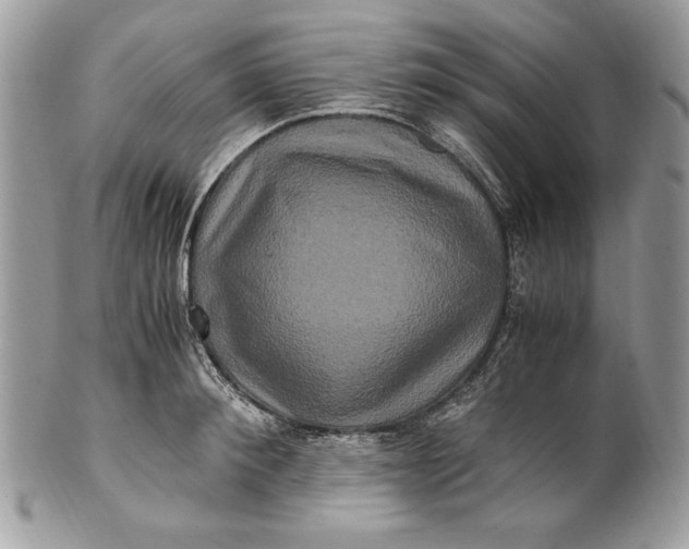 X0000100880900200807071123