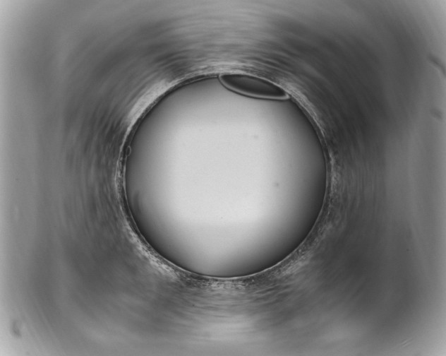 X0000100880901200807071123