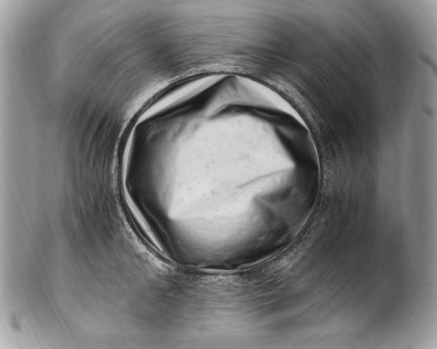 X0000100880902200807071123