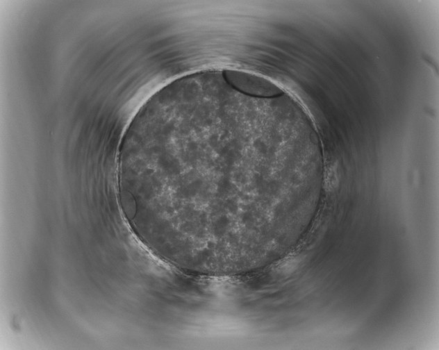 X0000100880903200807071123