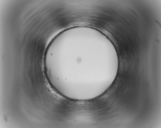 X0000100880904200807071123