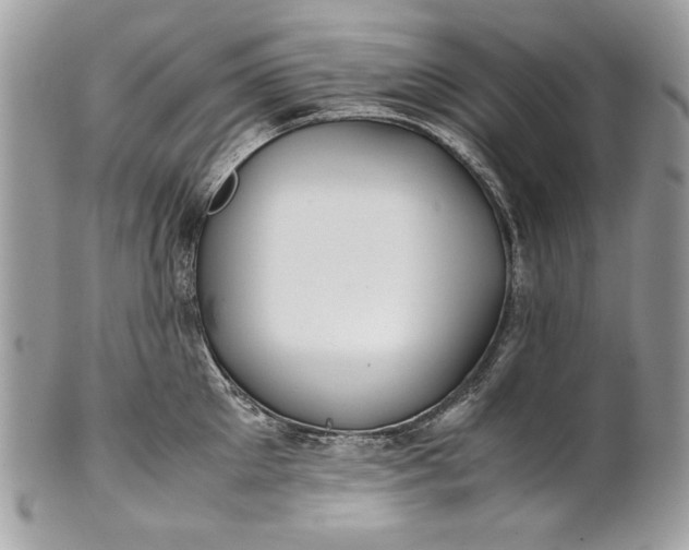 X0000100880905200807071123