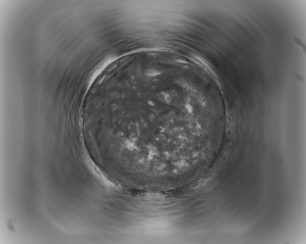 X0000100880907200807071123