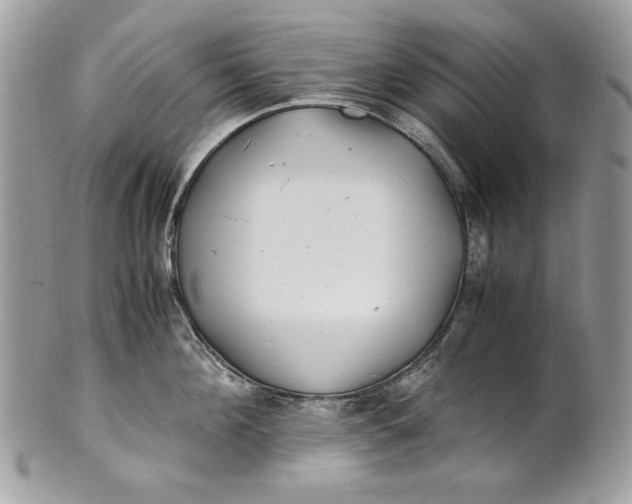 X0000100880908200807071123