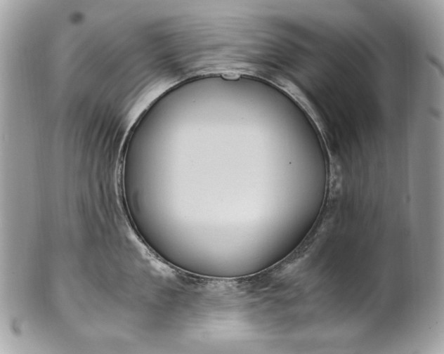 X0000100880909200807071123