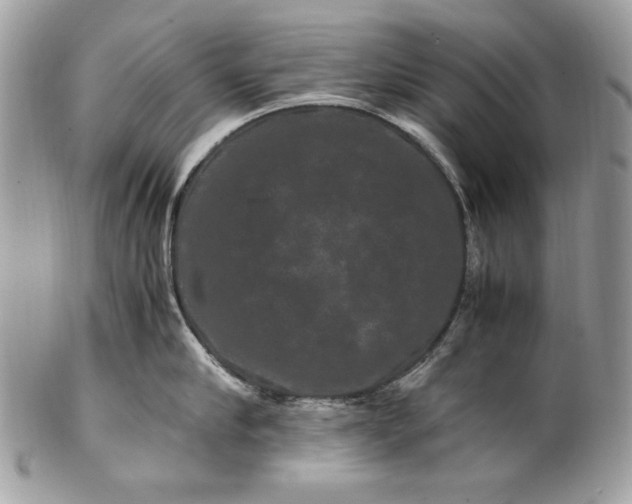 X0000100880910200807071123