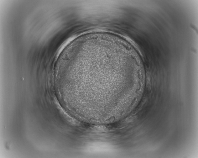 X0000100880911200807071123