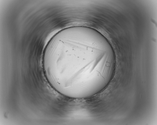 X0000100880912200807071123