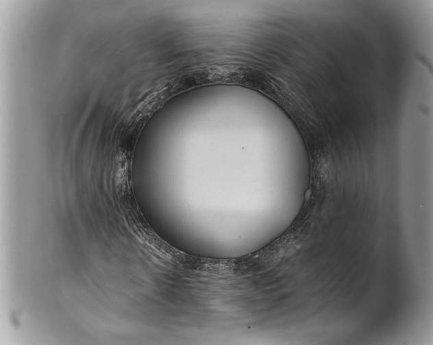 X0000100880914200807071123