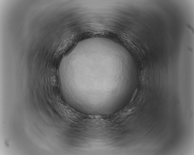 X0000100880916200807071123