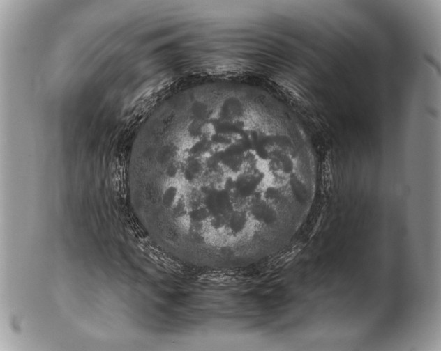 X0000100880917200807071123