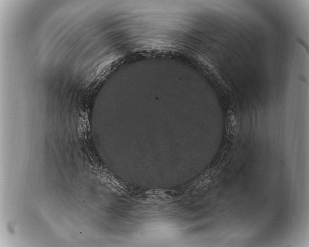 X0000100880918200807071123