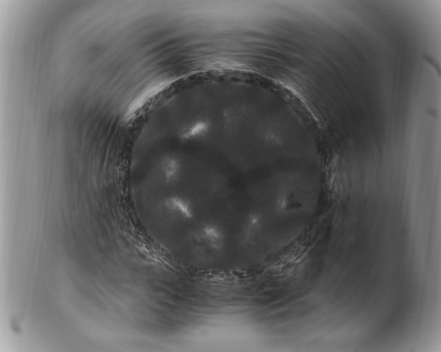 X0000100880919200807071123