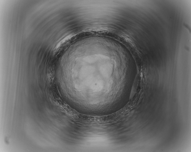 X0000100880920200807071123