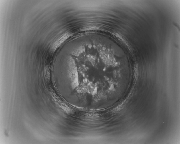 X0000100880921200807071123