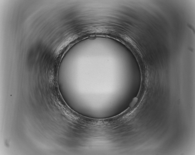 X0000100880922200807071123