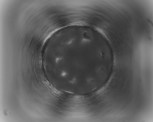 X0000100880923200807071123