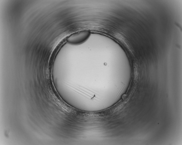 X0000100880924200807071123