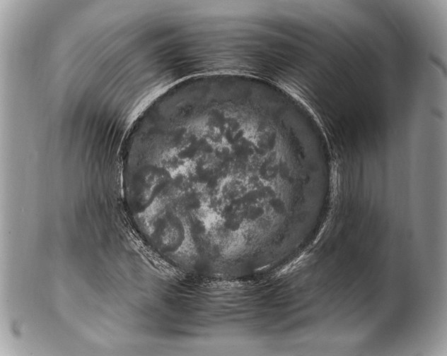 X0000100880925200807071123