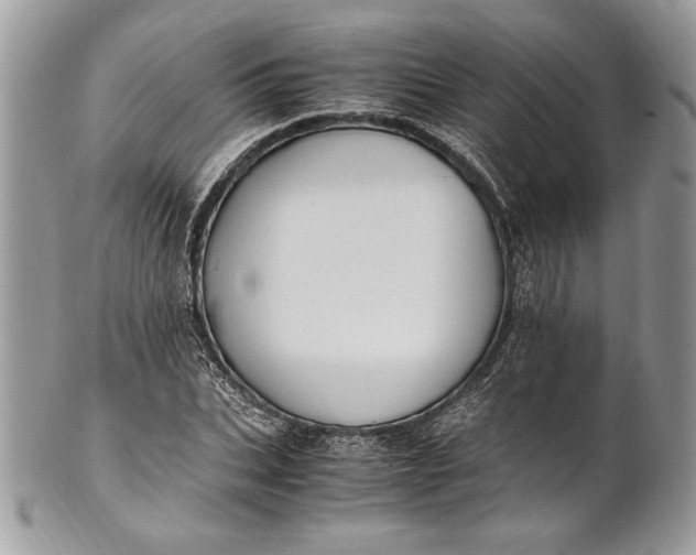 X0000100880927200807071123