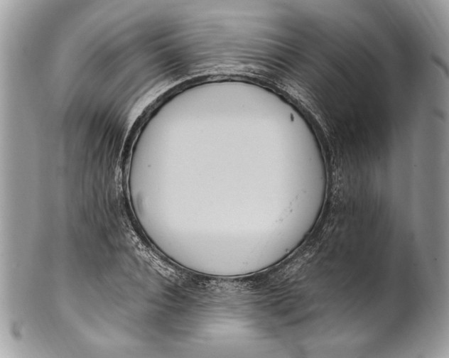 X0000100880928200807071123