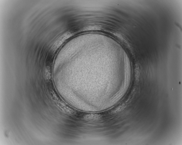 X0000100880929200807071123