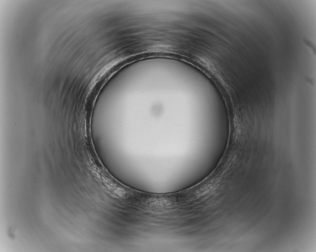 X0000100880931200807071123