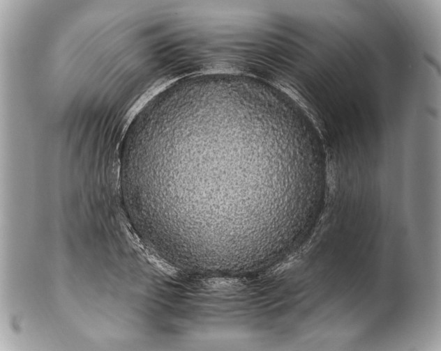 X0000100880933200807071123