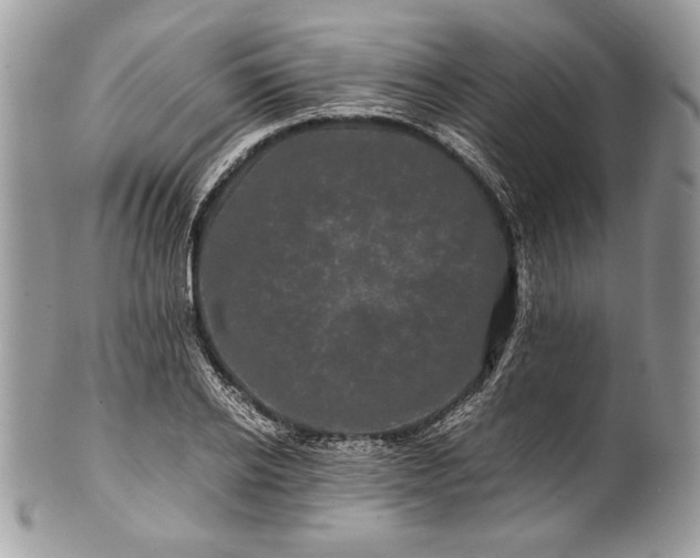 X0000100880934200807071123