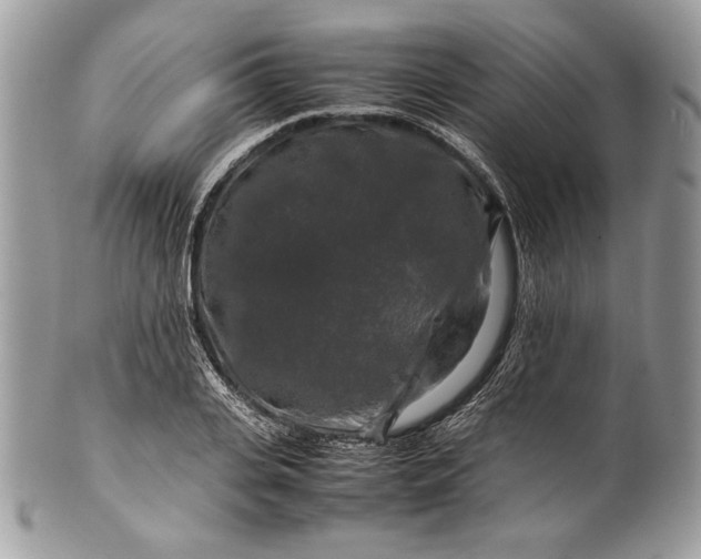 X0000100880935200807071123