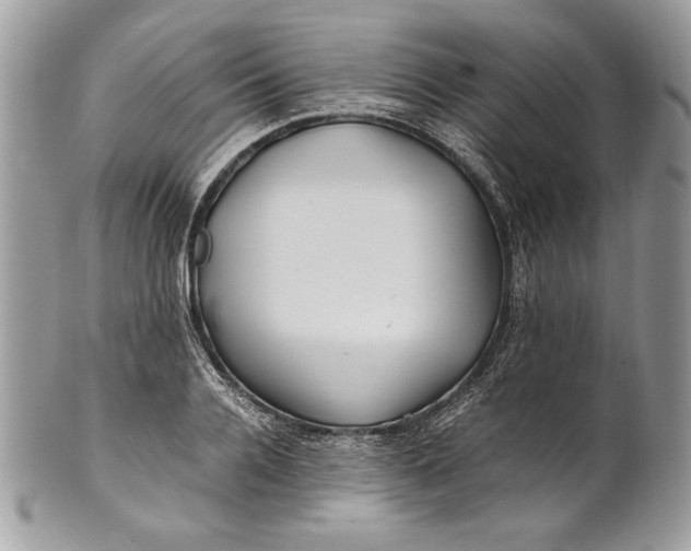 X0000100880936200807071123