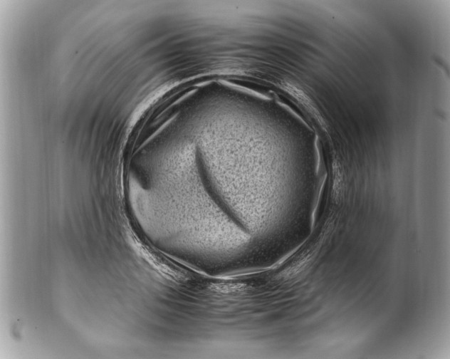 X0000100880939200807071123