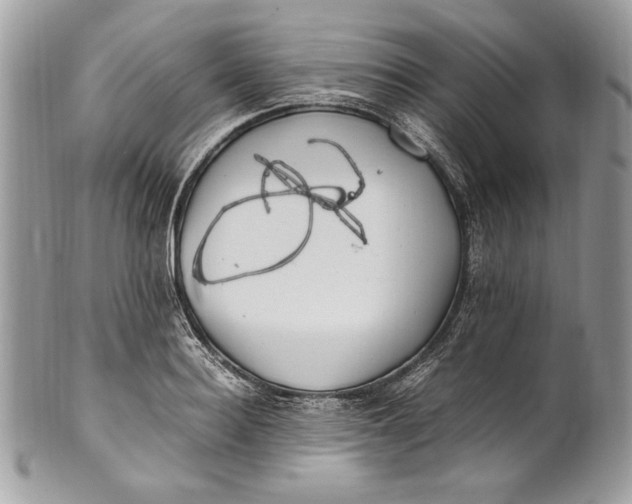 X0000100880940200807071123