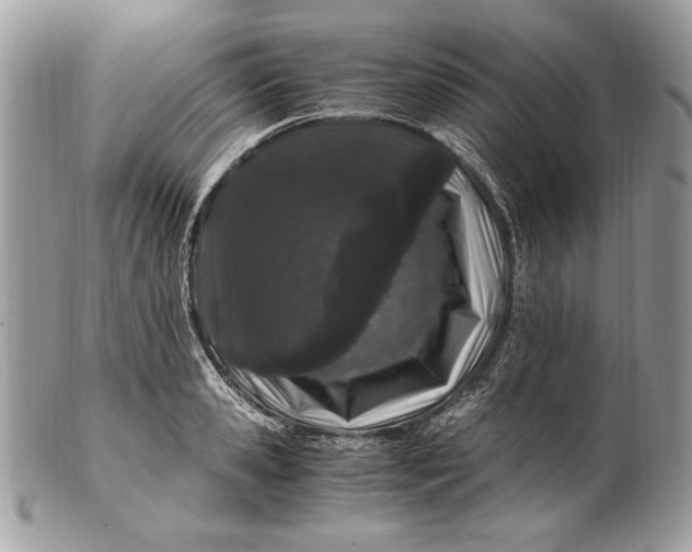 X0000100880941200807071123