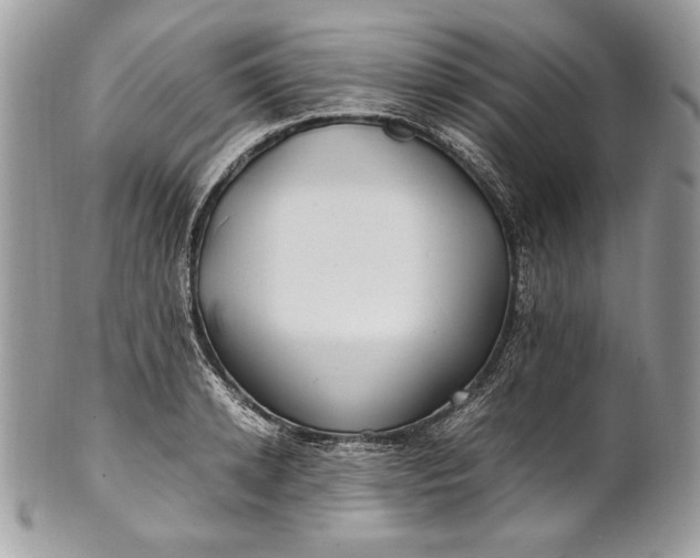 X0000100880942200807071123