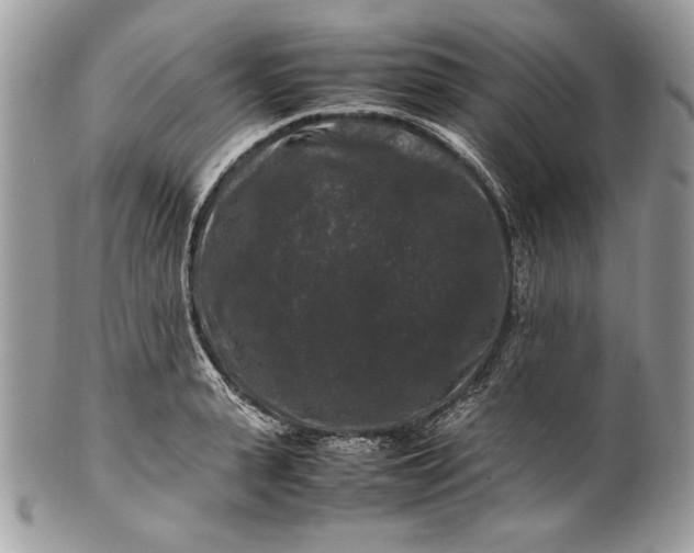 X0000100880943200807071123