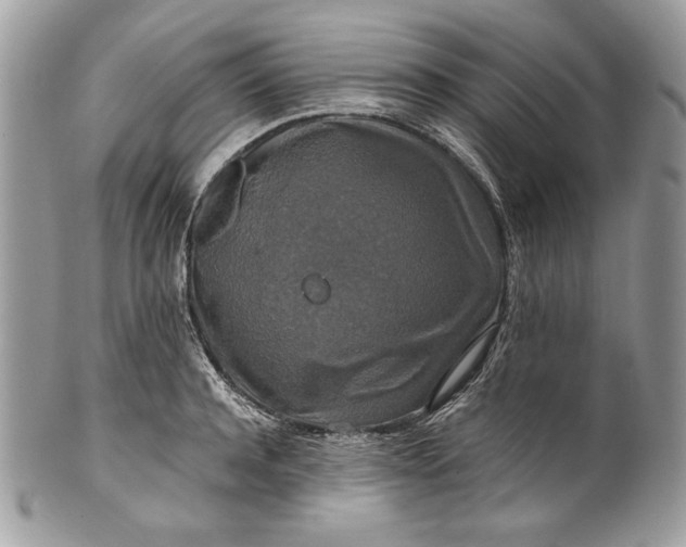 X0000100880944200807071123