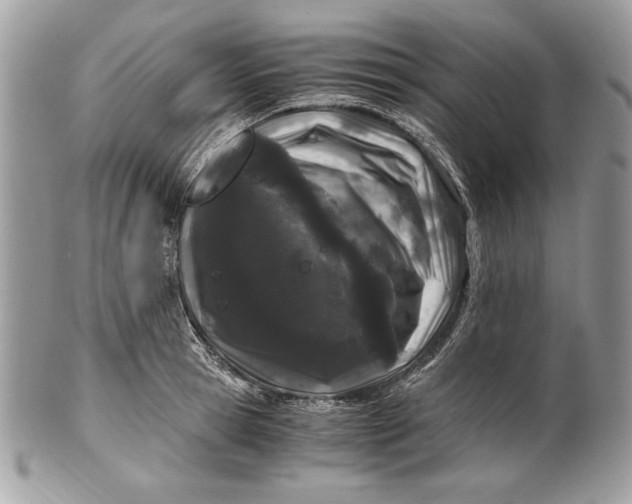 X0000100880945200807071123